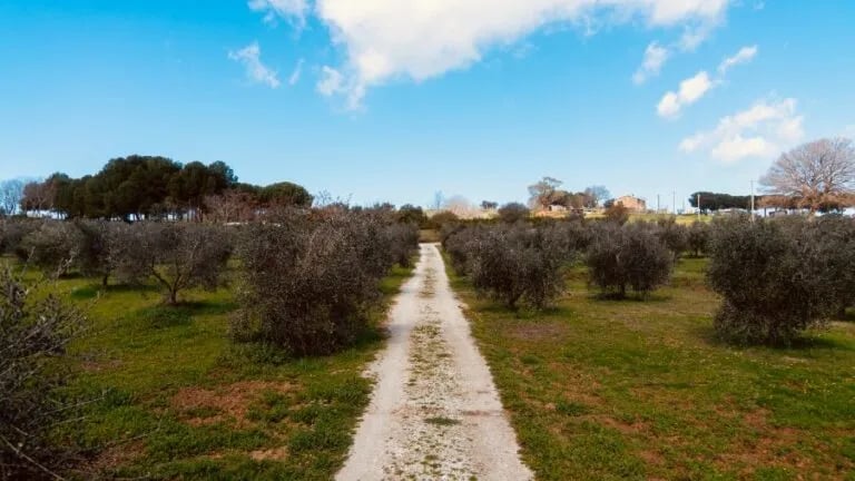 Agricampeggio La Piaggia gallery 3