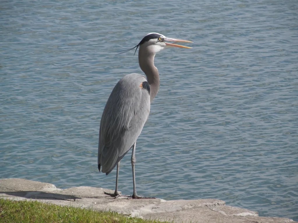 Waters Edge RV Resort