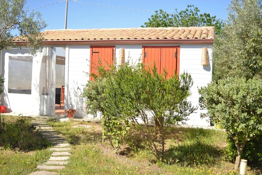 AgriMaccari gallery 2