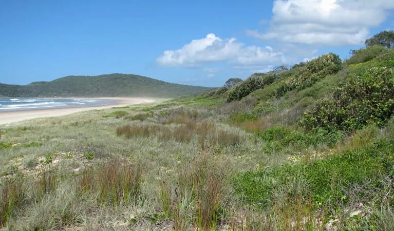 Point Plomer campground gallery 3