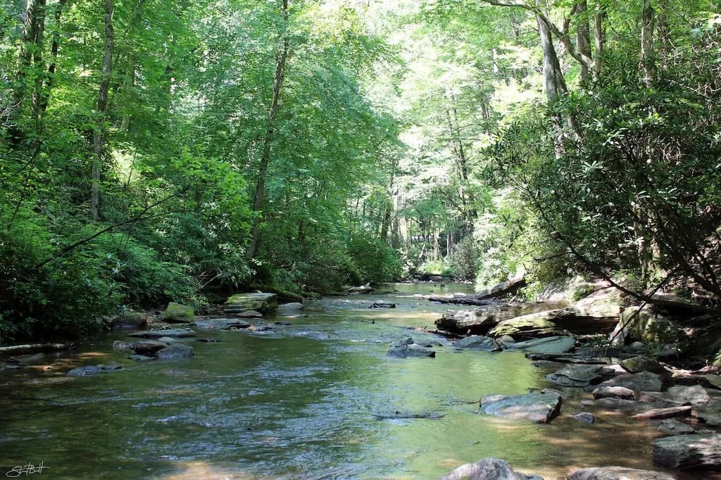 Pisgah Forest RV Park and Campground gallery 2