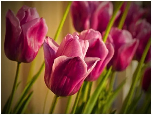 Big Sky Camp & RV Park gallery 2