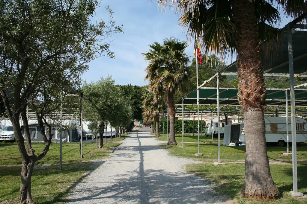 Campeggio Delfino gallery 3