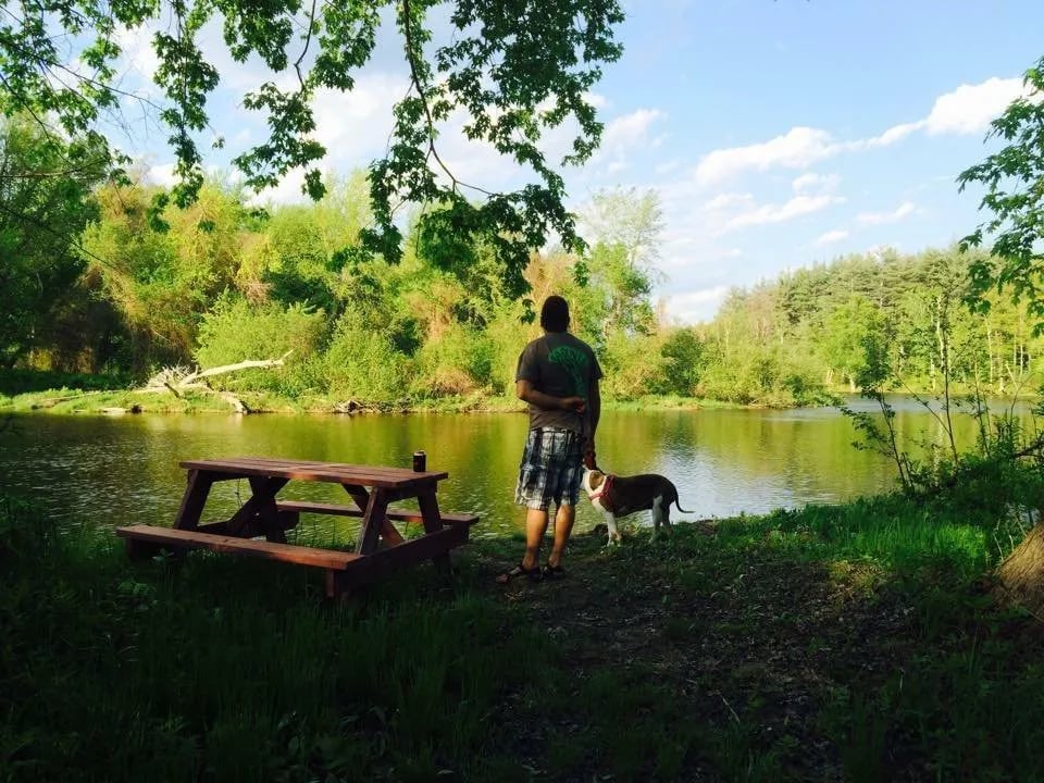 White Birches Camping Park gallery 3