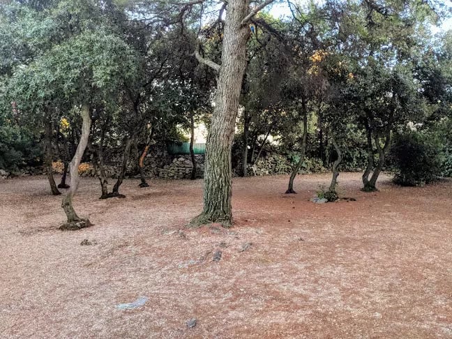 Auto Camp KLAUS gallery 3