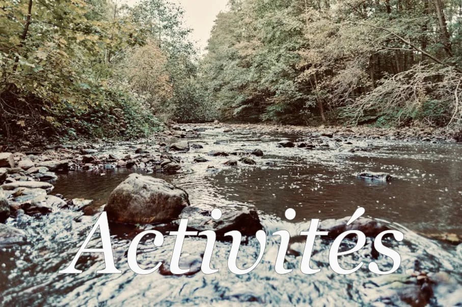 Camping Mont Dragon gallery 3