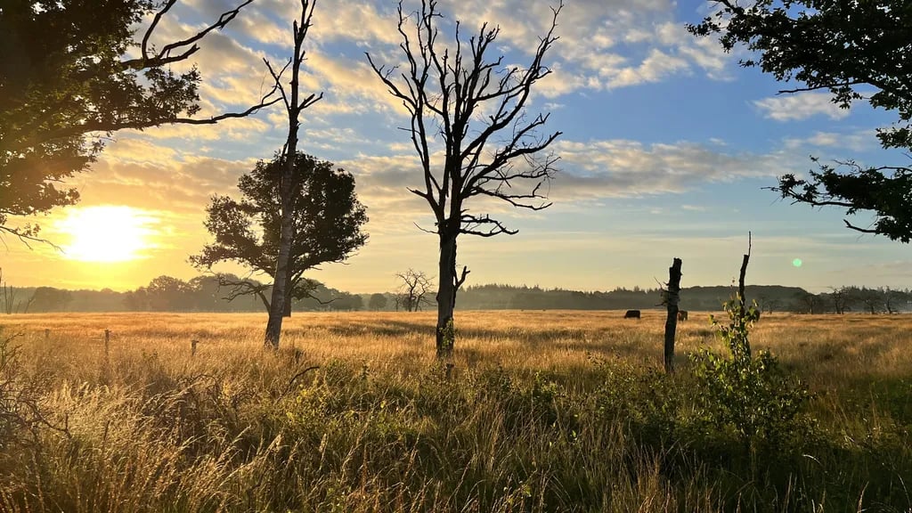 Camping Zonnecamp gallery 1