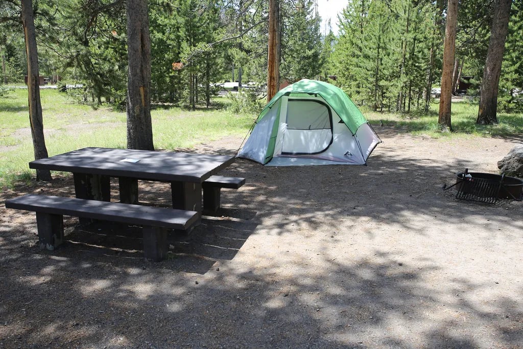 Madison Campground — Yellowstone National Park gallery 1