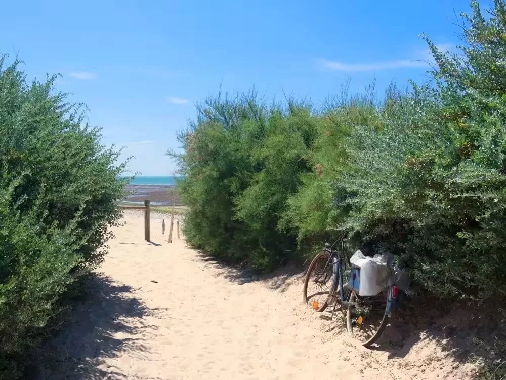 Flower Camping Escale Du Perthuis gallery 1