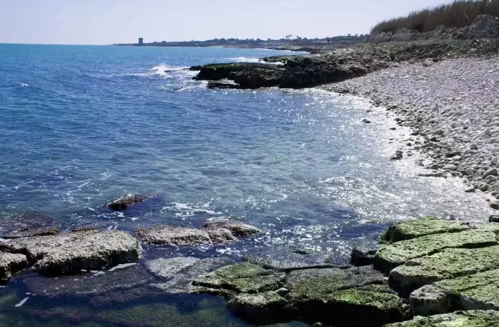 Campeggio Brezza Tra Gli Ulivi Puglia gallery 3