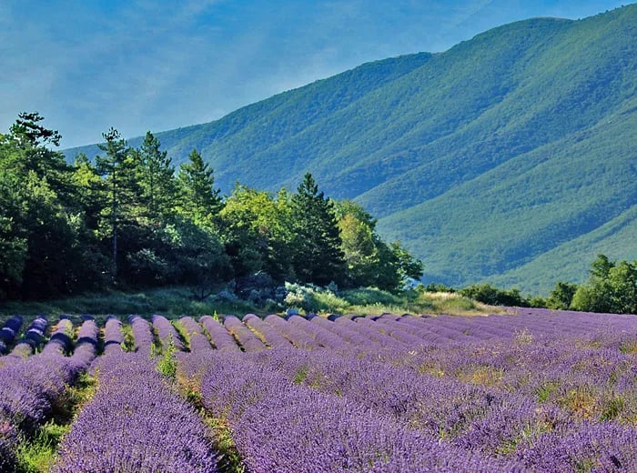 La Colline des Ocres gallery 3