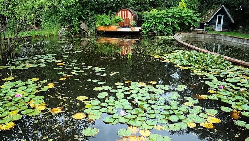 Campingplatz Tante Henni gallery 3