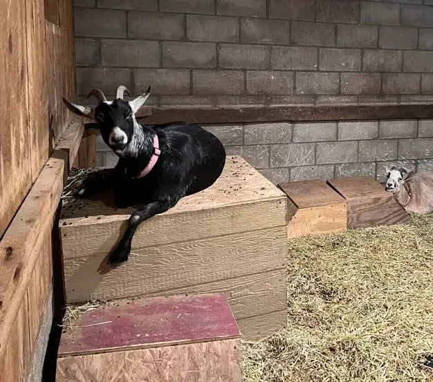 NICURA RANCH gallery 2