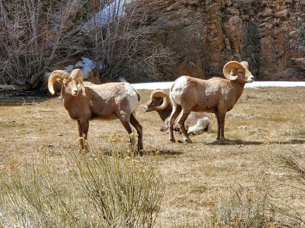 Rio Costilla Park gallery 3