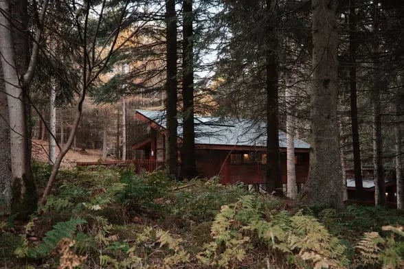 Bracelands Caravan Park and Campsite gallery 2