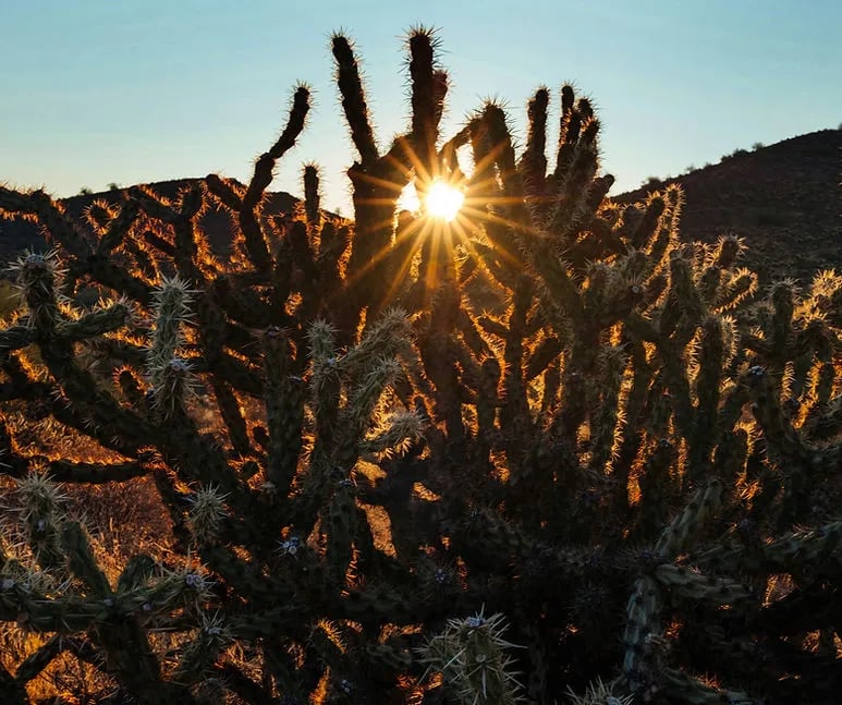 Stardust trailer park