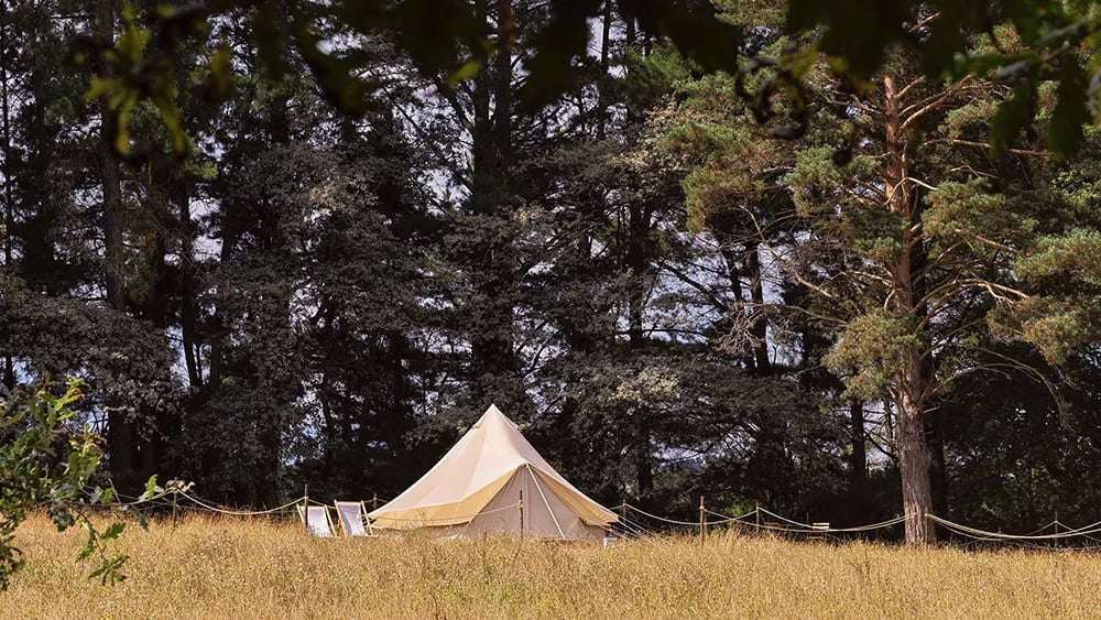 A Leira 116 gallery 3