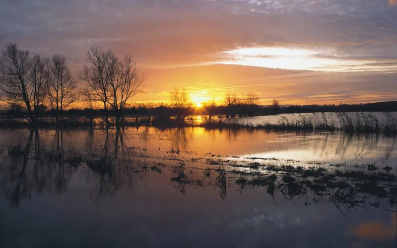 Ashe Farm Caravan and Campsite gallery 3