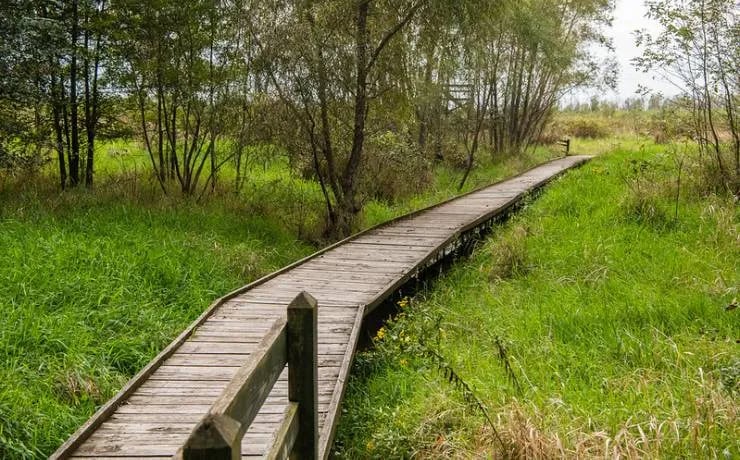 Pershing State Park Campground gallery 3