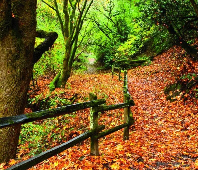 Anthony Chabot Regional Park