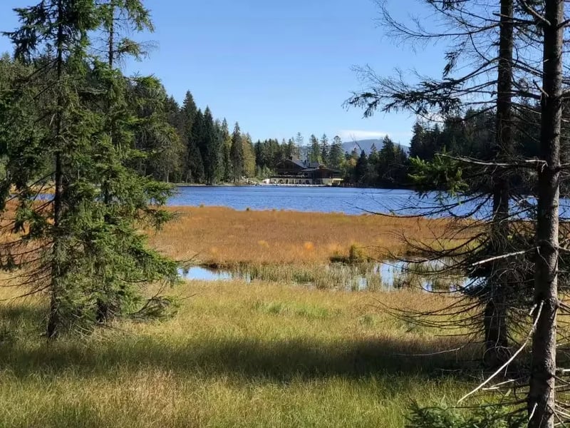 Camping Waldesruh gallery 2