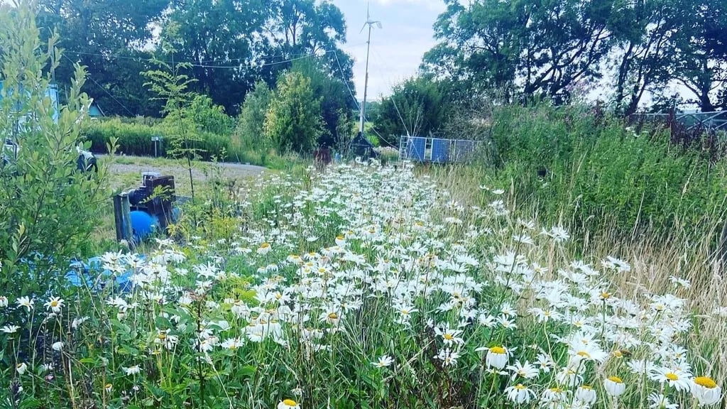 Wedmore Village Farm gallery 1