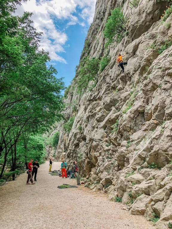 Hiking in the mountain: Enjoy the nature exploration on mountain trails for an exhilarating outdoor adventure