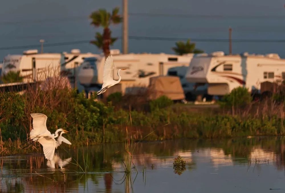 Pioneer Beach Resort