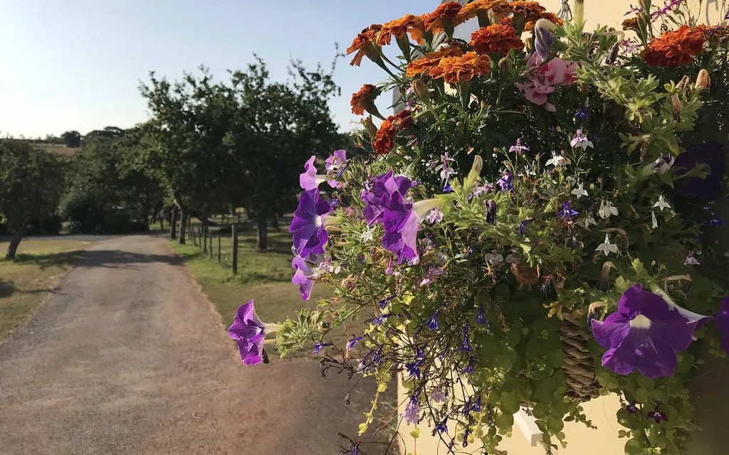 Higher Coarsewell Farm gallery 3