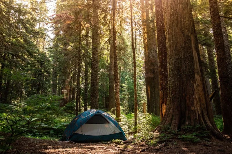 Camping Piccolo Paradiso gallery 3