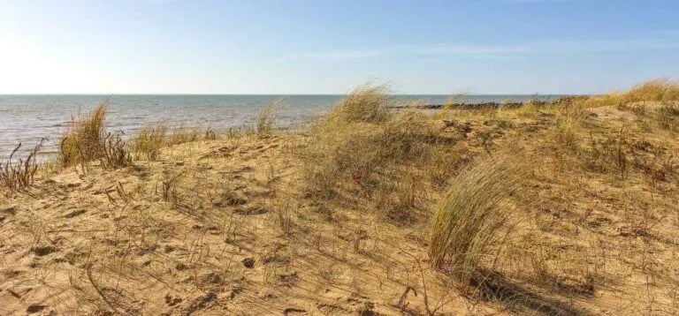 Camping Le Lidon gallery 3