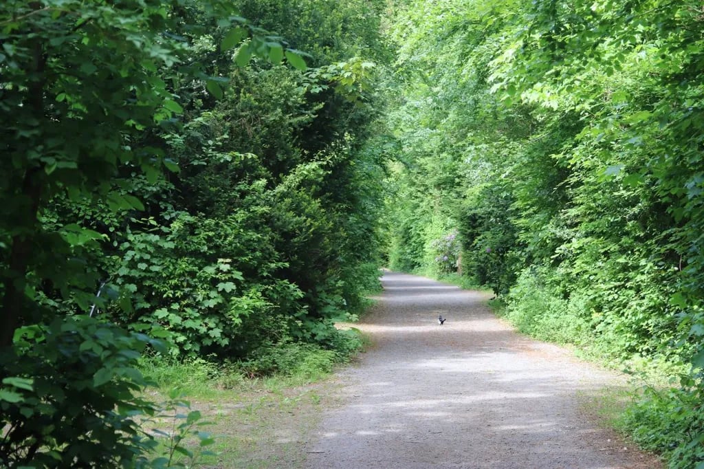 Natuurcampeerterrein Schoonenberg gallery 2