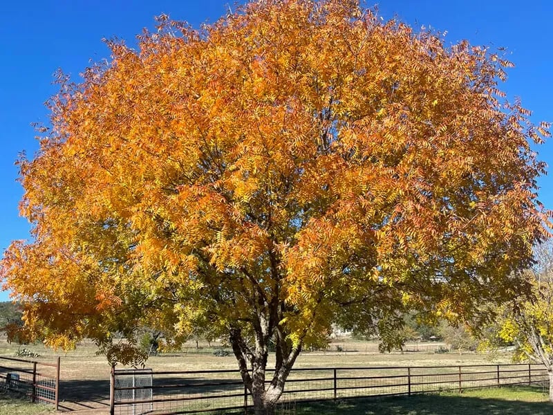 Johnson Creek RV Resort & Park gallery 1