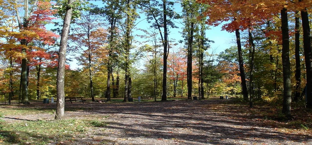 Featherstone RV Park gallery 2