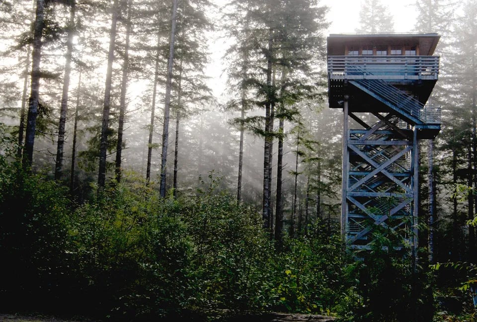 Tillamook Forest Dispersed on the Nehalem River