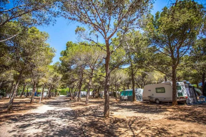 Camping Francàs gallery 2