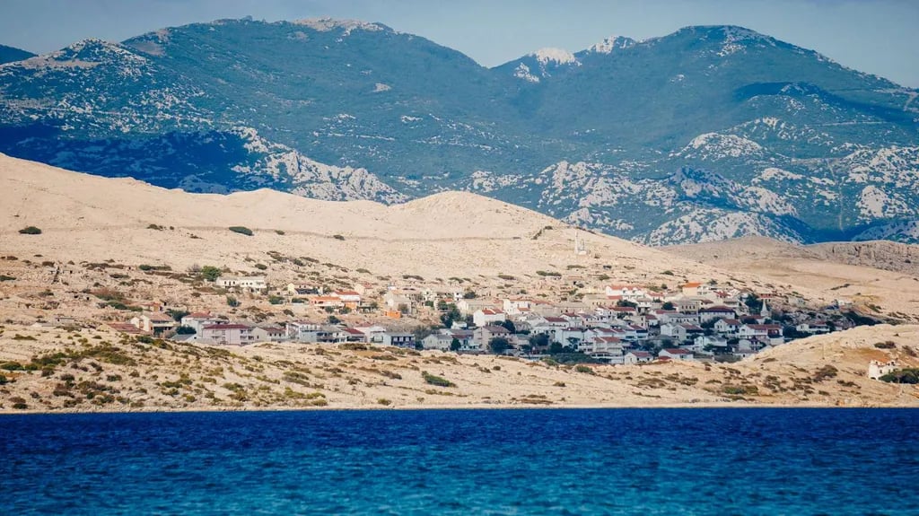 Terra Park Phalaris gallery 2