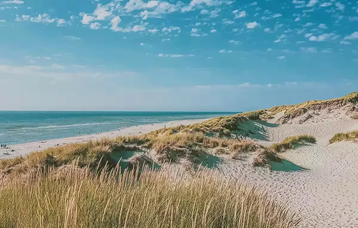 Camping Demoiselles Plage gallery 1