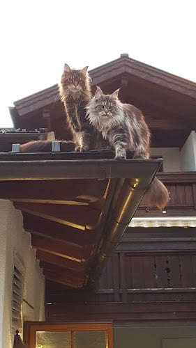 Camping Muntafuner Stöbli