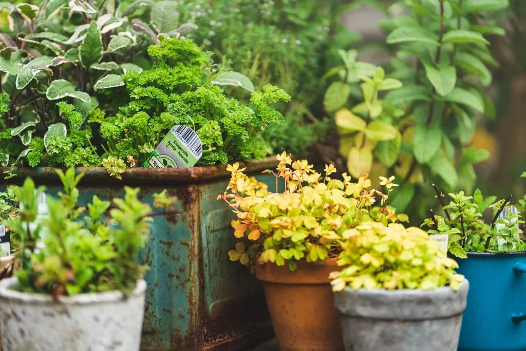 Hillerød Camping gallery 1