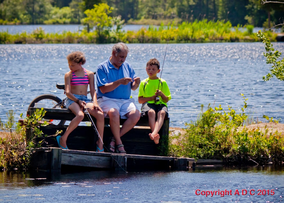 Timberline Lake Camping Resort gallery 3