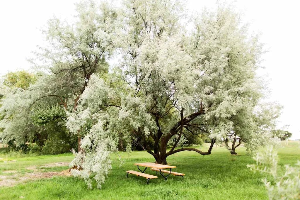 Willow Creek Retreat