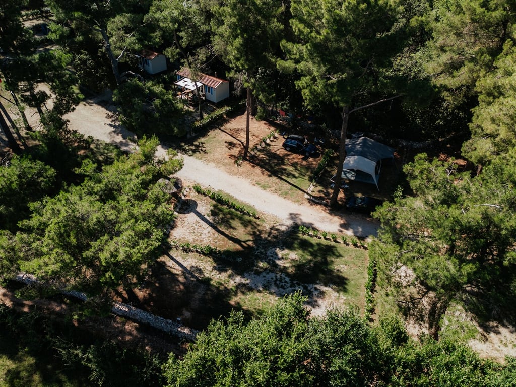 Camp Dvor gallery 2
