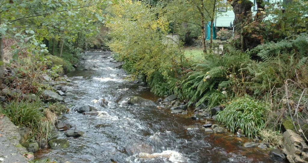 Westfield Caravan Site gallery 2