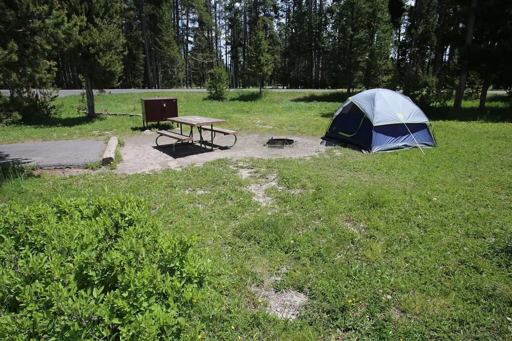 Bridge Bay Campground — Yellowstone National Park