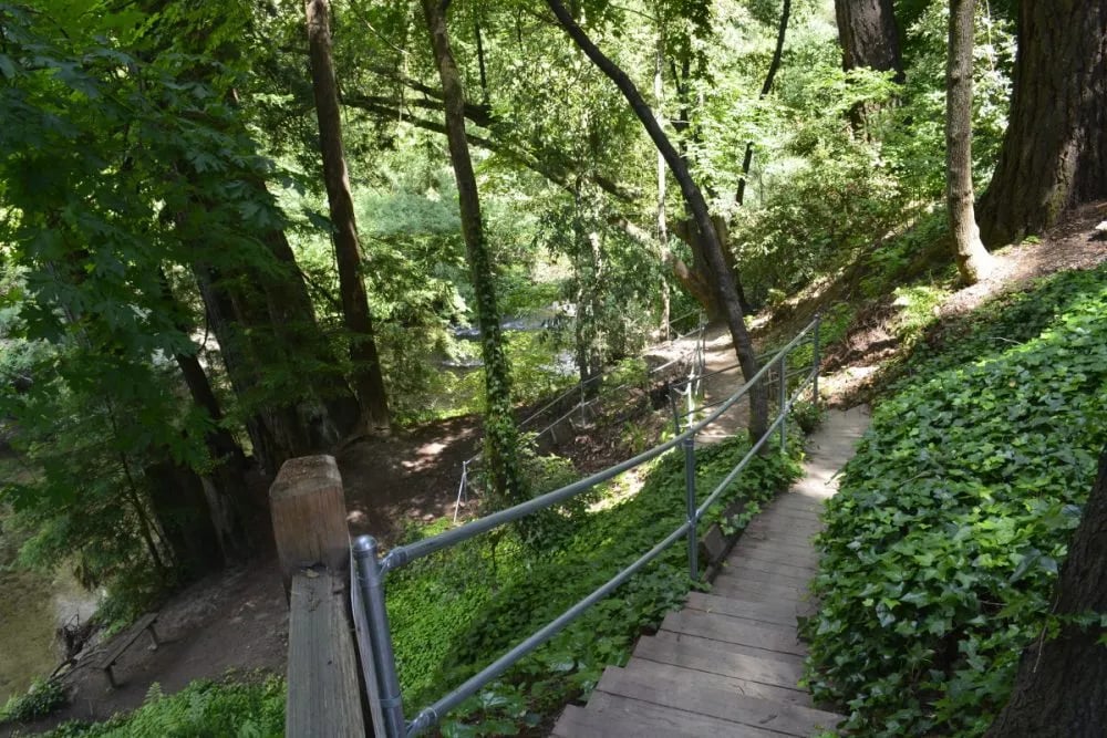 Santa Cruz Redwoods RV Resort