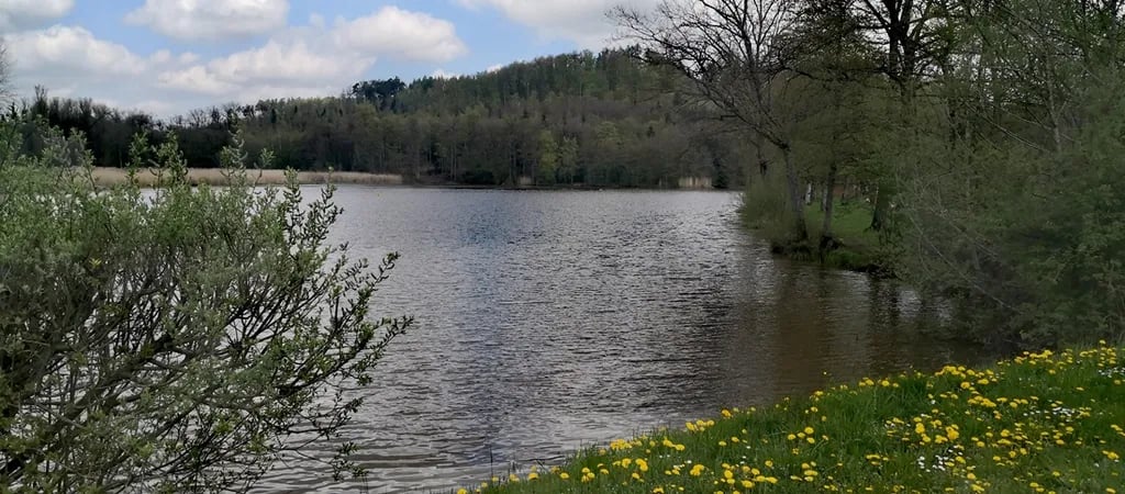 Camping Neumühlsee gallery 1