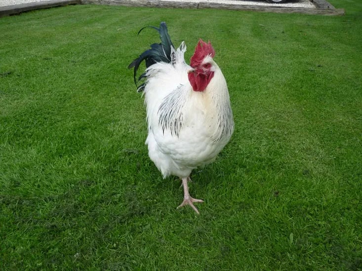 Barmston Farm Holiday Park gallery 1