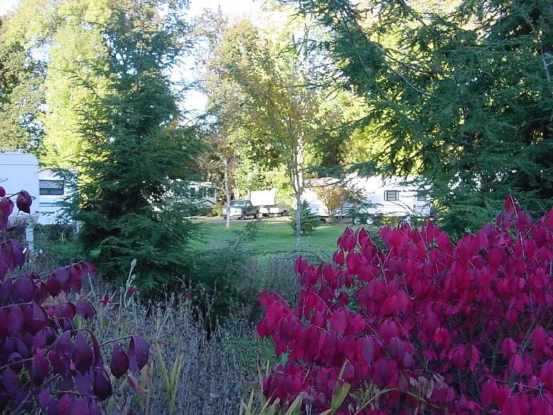 Deerwood RV Park gallery 1