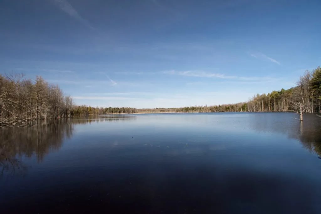 Whispering Woods Campground gallery 1